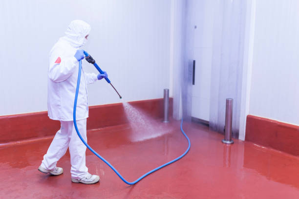Best Pre-Holiday Cleaning  in Salem, IL
